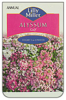 AlyssumGolf Mix